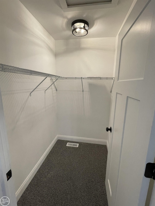 walk in closet with visible vents and carpet floors