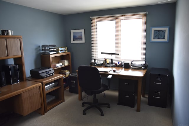 office area featuring light carpet