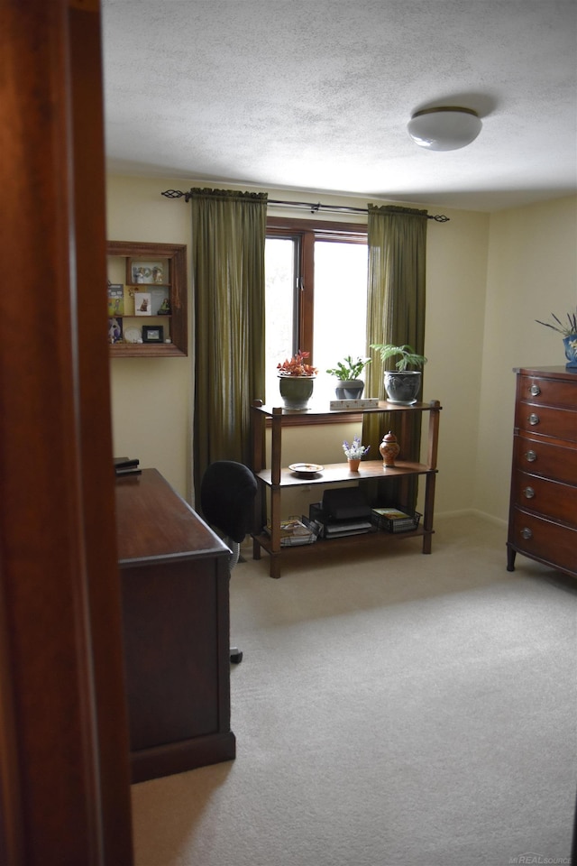 home office featuring carpet floors and a textured ceiling