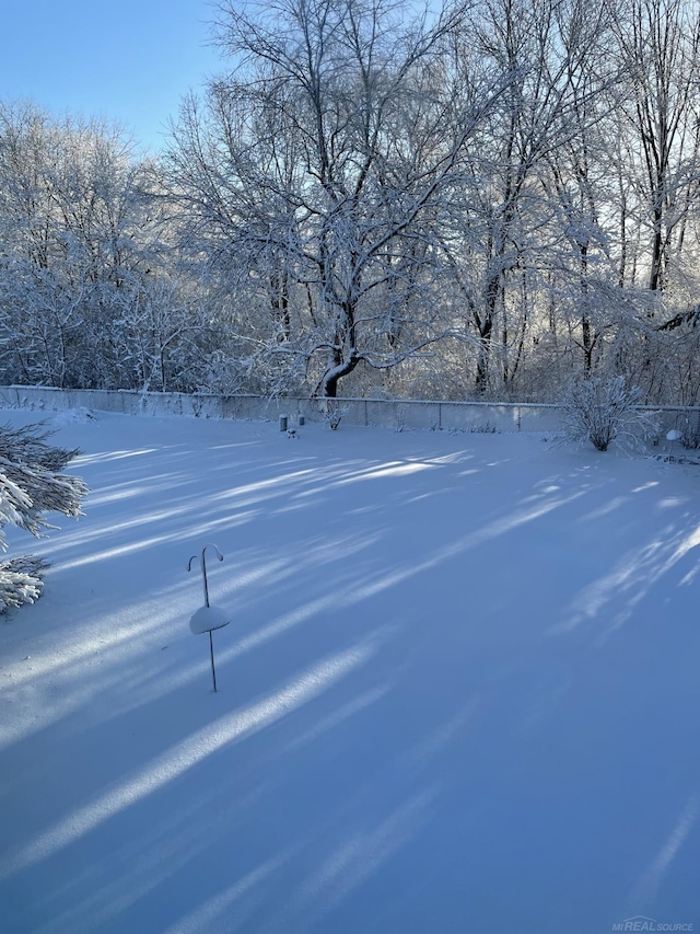 view of yard layered in snow