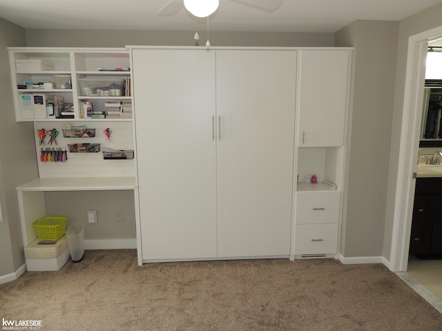 closet with a sink