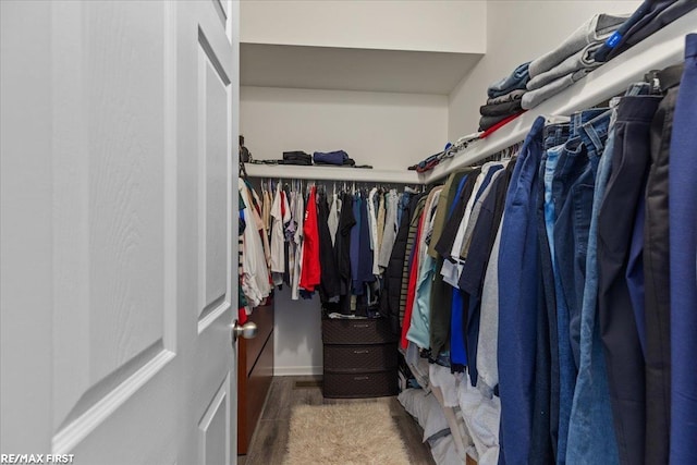 view of walk in closet