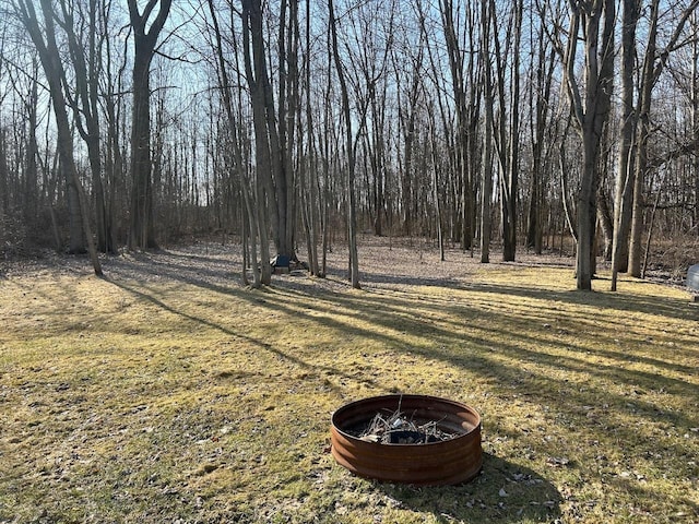 view of yard featuring a fire pit