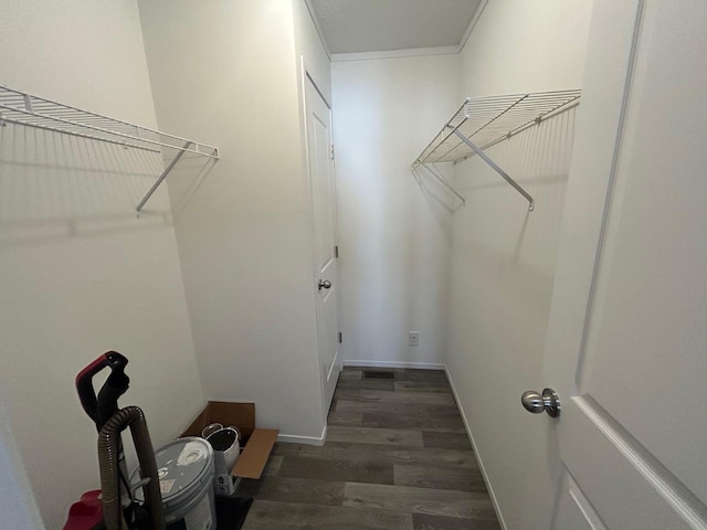 walk in closet with wood finished floors