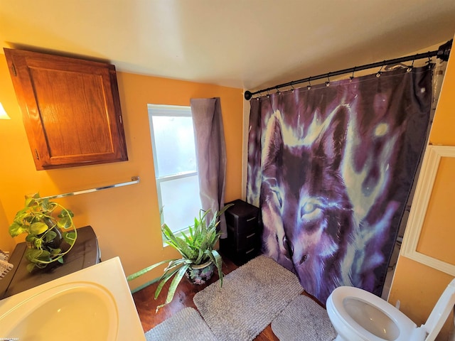 full bath featuring toilet, a shower with shower curtain, and a sink