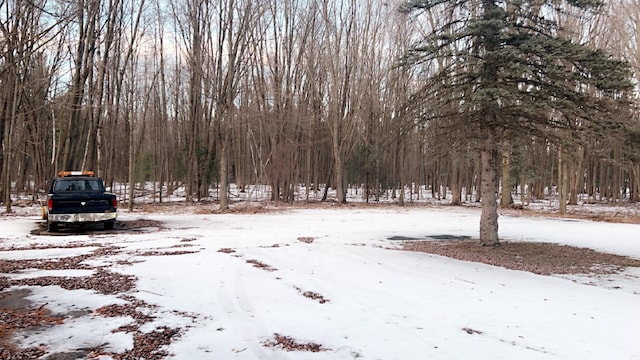 view of snowy yard