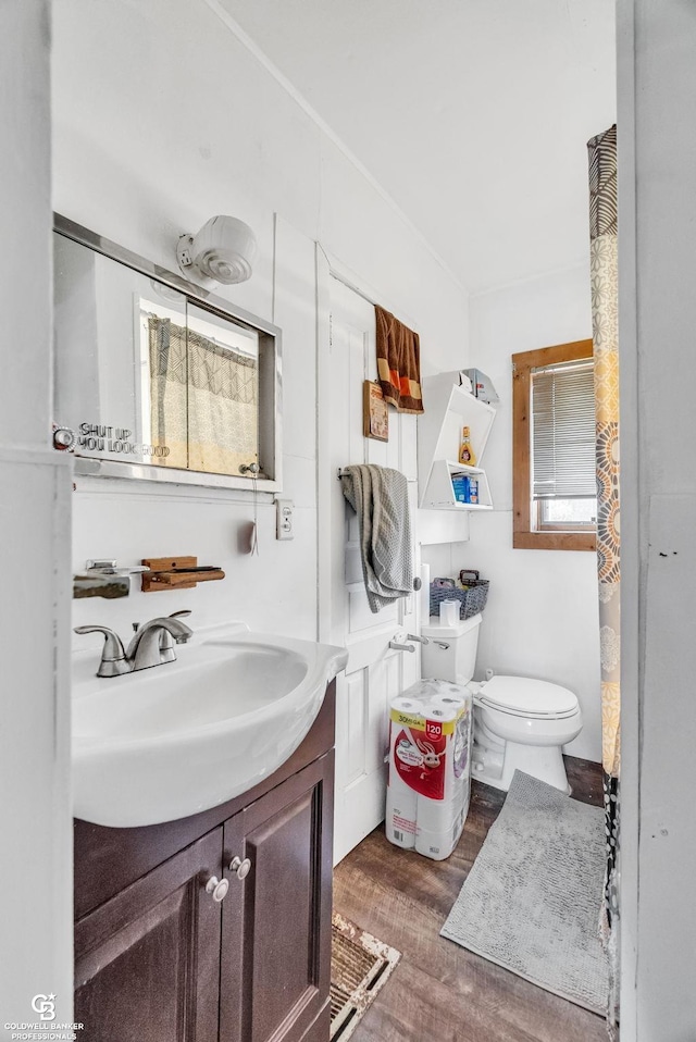 bathroom featuring vanity, toilet, and wood finished floors