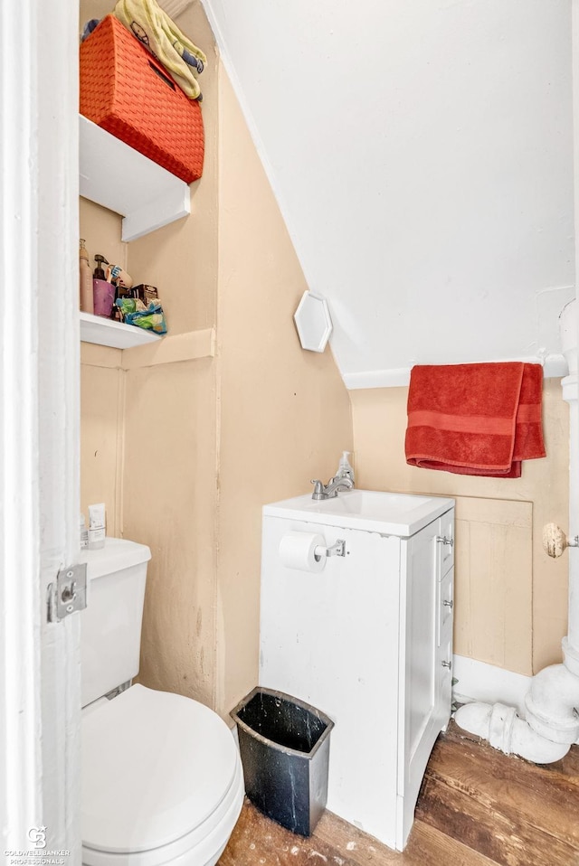 bathroom with a sink, toilet, and wood finished floors