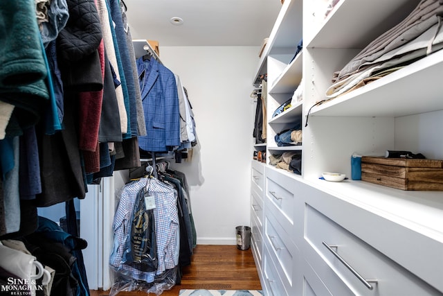 walk in closet with dark wood finished floors