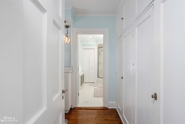 hall featuring dark wood-style floors and ornamental molding