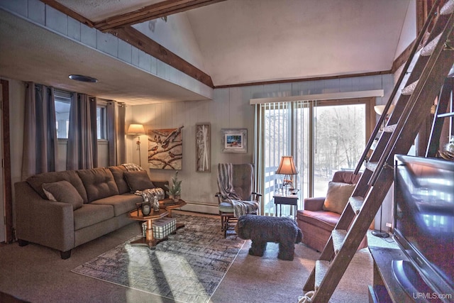 living room featuring high vaulted ceiling