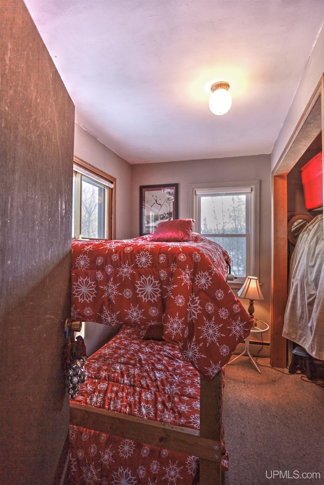 bedroom with carpet flooring