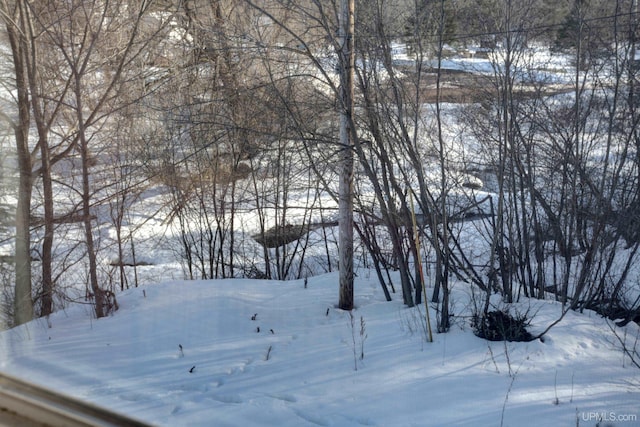 view of yard covered in snow