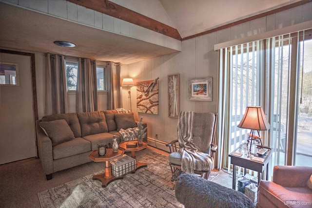 living room featuring vaulted ceiling