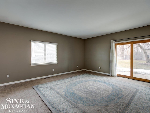 spare room with plenty of natural light, baseboards, and carpet