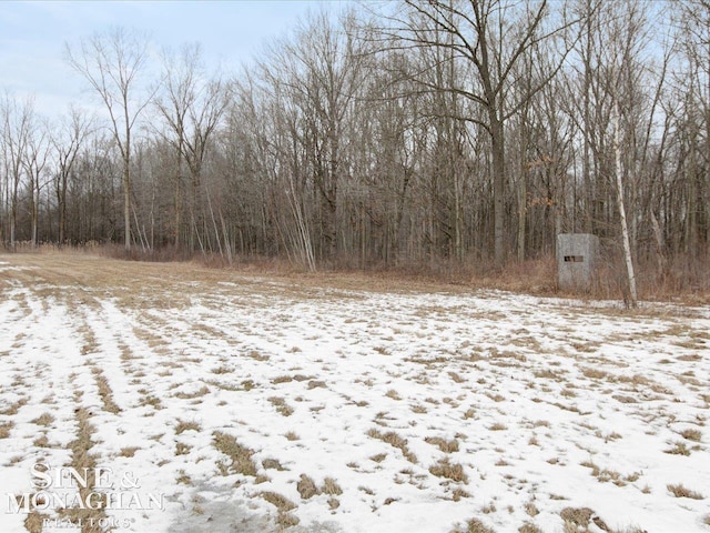 view of local wilderness featuring a wooded view