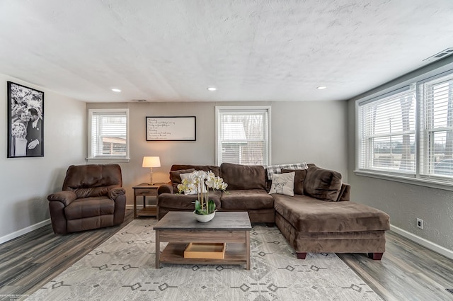 living room with a wealth of natural light, baseboards, a textured ceiling, and wood finished floors