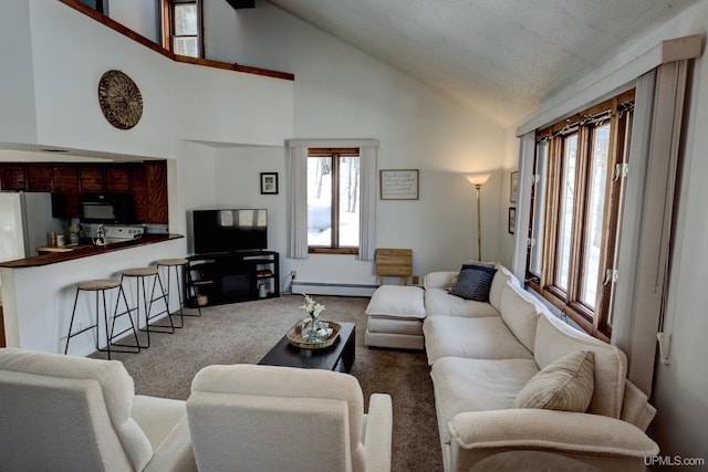 living room featuring a baseboard radiator, high vaulted ceiling, and carpet floors