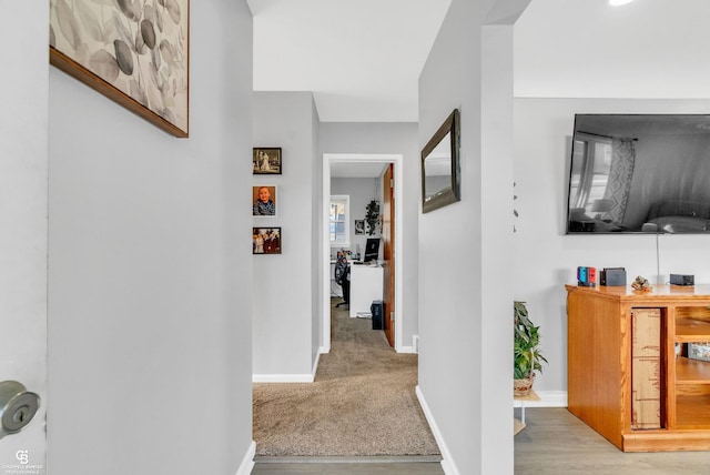 hallway featuring baseboards and carpet