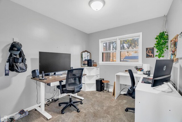 office area featuring baseboards and carpet