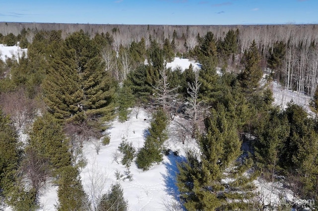 Listing photo 3 for TBDE20 Firesteel Rd, Ontonagon MI 49953