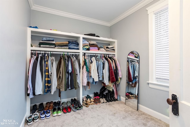 spacious closet featuring carpet floors