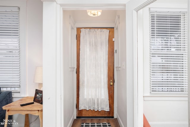 doorway with baseboards, a healthy amount of sunlight, and wood finished floors