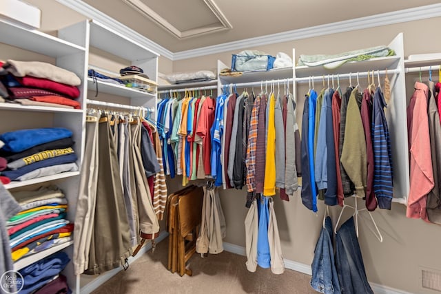 walk in closet featuring attic access, carpet flooring, and visible vents