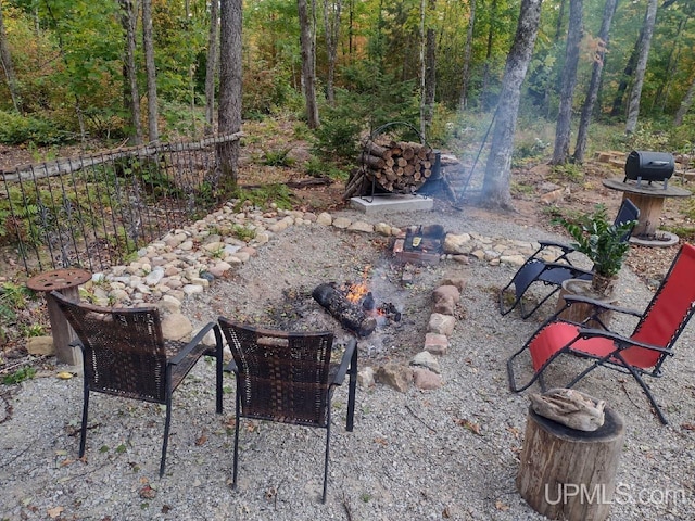 view of yard with a wooded view