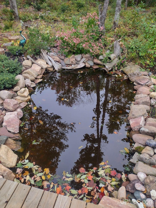 details with a small pond