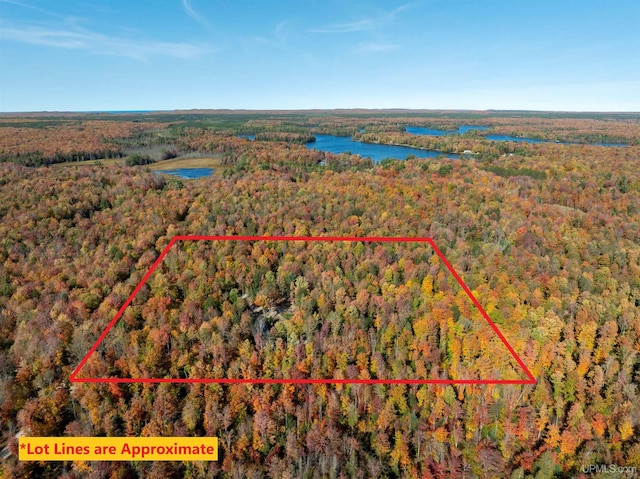 aerial view featuring a forest view and a water view