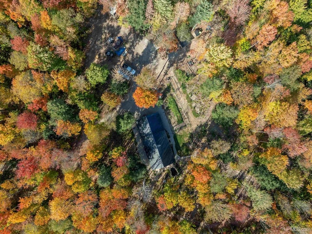 drone / aerial view with a forest view