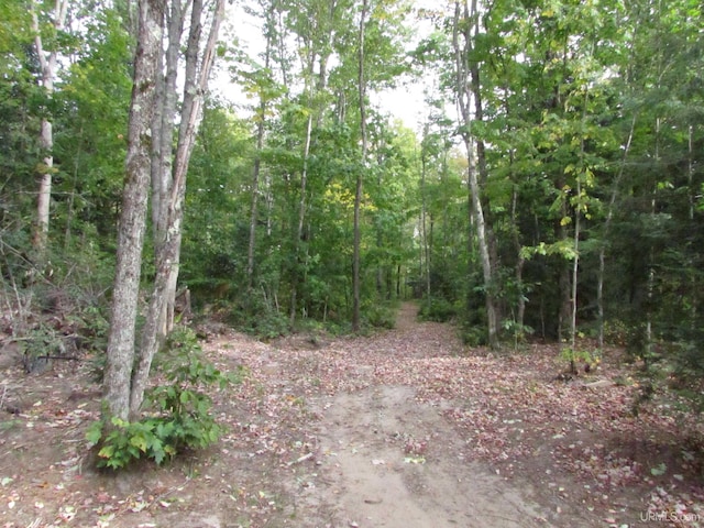 view of local wilderness with a wooded view