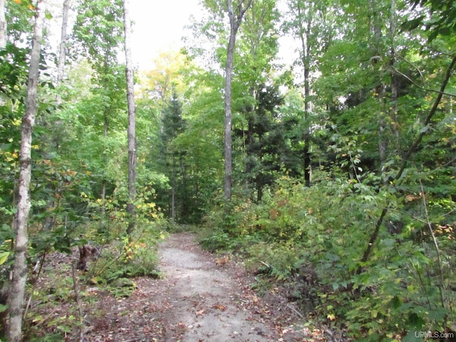 view of landscape with a wooded view