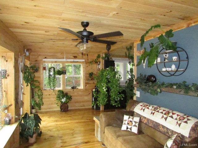 unfurnished living room with hardwood / wood-style floors, wooden ceiling, a ceiling fan, and wood walls