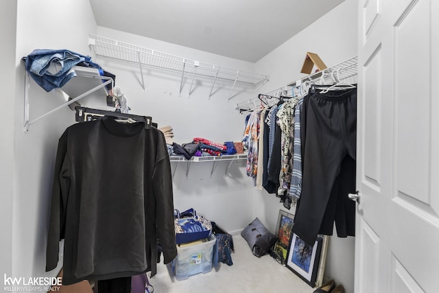 view of spacious closet