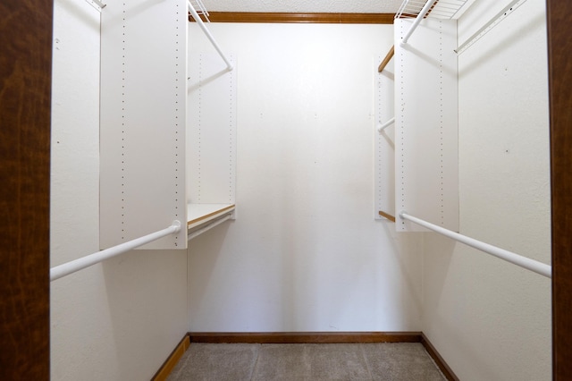 walk in closet featuring carpet floors