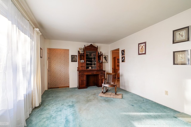 spare room featuring carpet floors