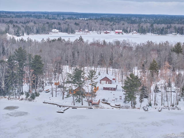 view of snowy aerial view