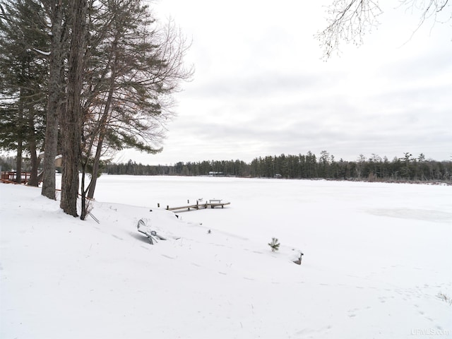 view of yard covered in snow