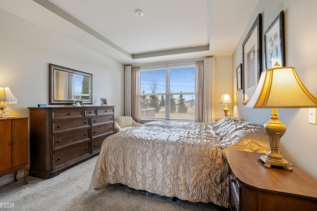 bedroom featuring a raised ceiling and light colored carpet