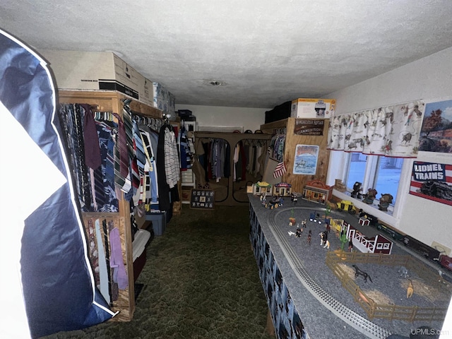 kitchen featuring carpet flooring and a textured ceiling