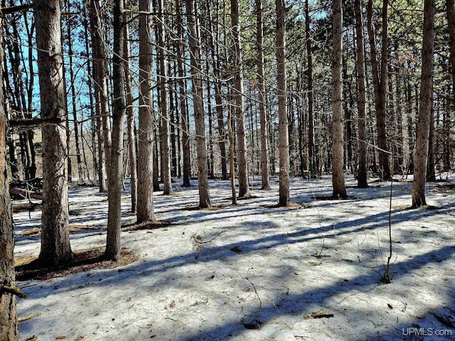 LOTS33 Storm Watch Dr, Bessemer MI, 49911 land for sale