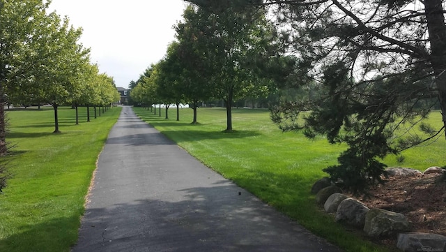 view of home's community featuring a lawn