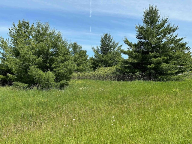 Listing photo 3 for LOT176 Winchester Way, Gladwin MI 48624