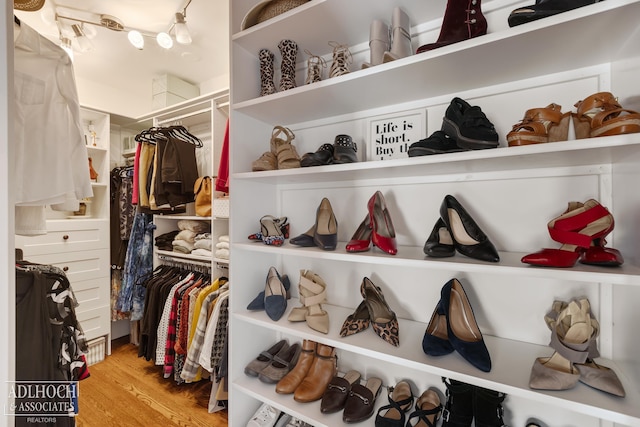 spacious closet featuring light wood finished floors