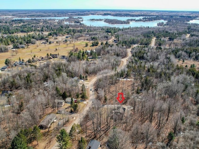 bird's eye view featuring a forest view and a water view