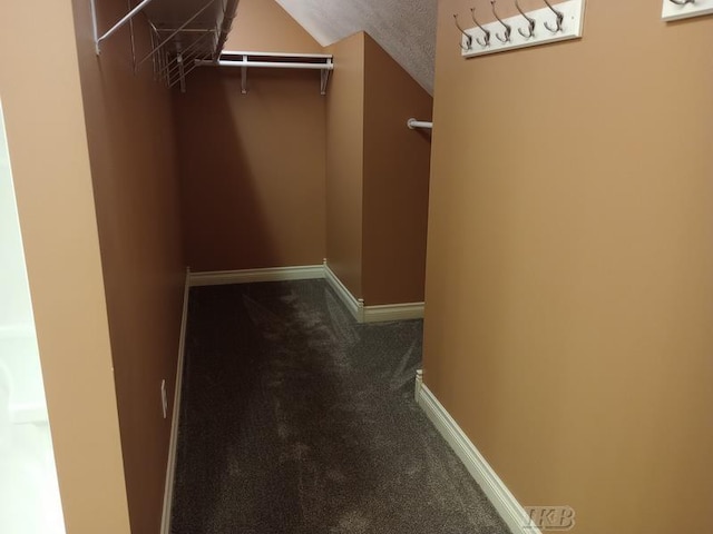 spacious closet with lofted ceiling and carpet flooring