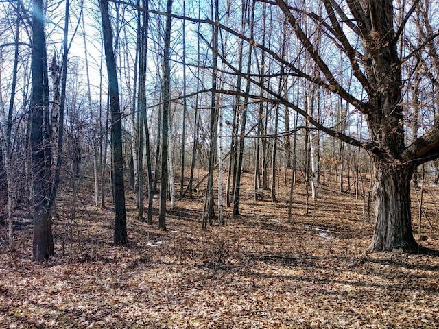 view of landscape