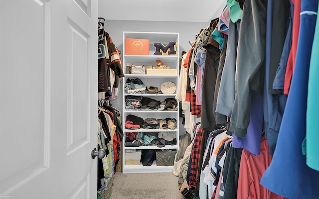 walk in closet featuring carpet floors